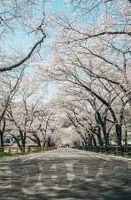日韩av电影天堂-日韩AV电影的多元文化视角，探索与理解
